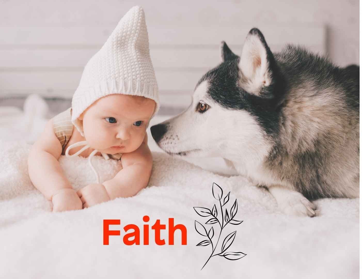 An image showing the name Faith,  a sketch of a flower beside the name. A baby on a bed and a husky dog looking closely at the baby,