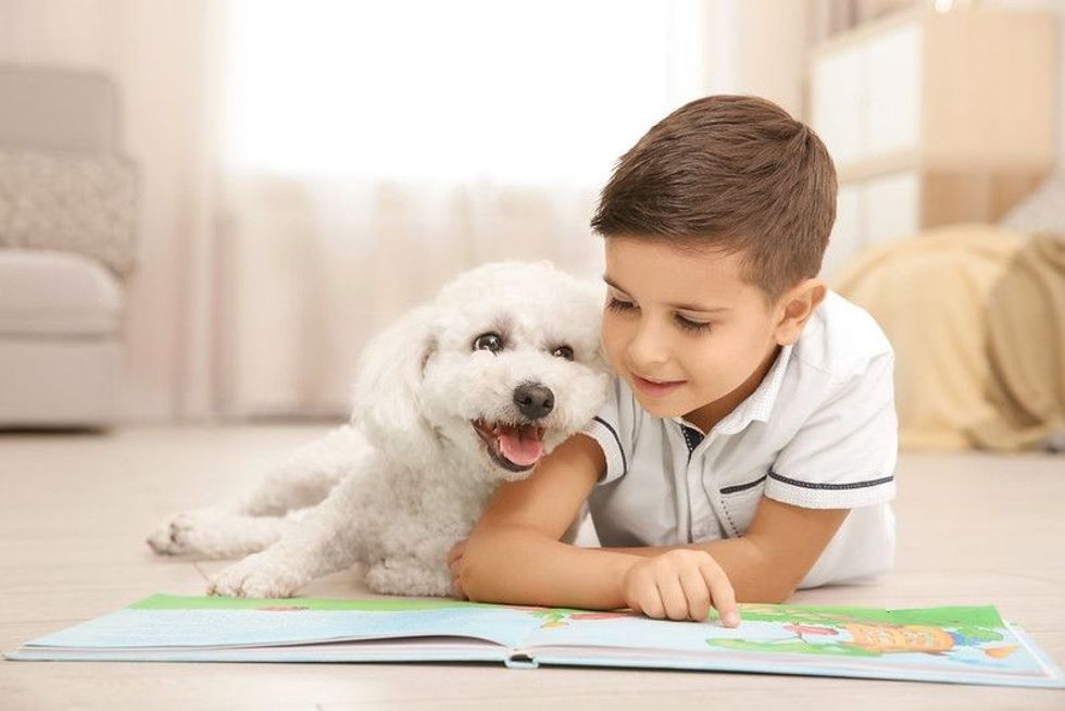 Little boy and bichon frise dog reading book at home.