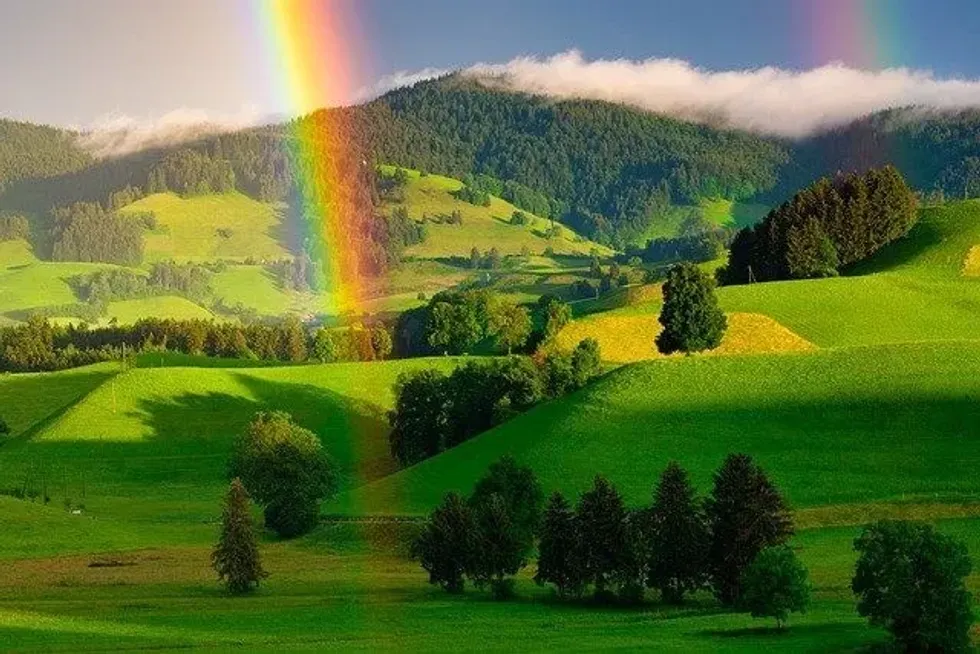 Rainbow in the middle of grassland